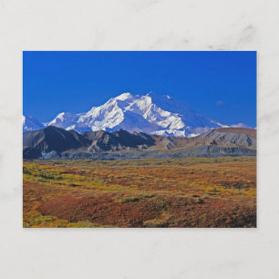Denali-Nationalpark, Mt. McKinley, Alaska. Postkarte
