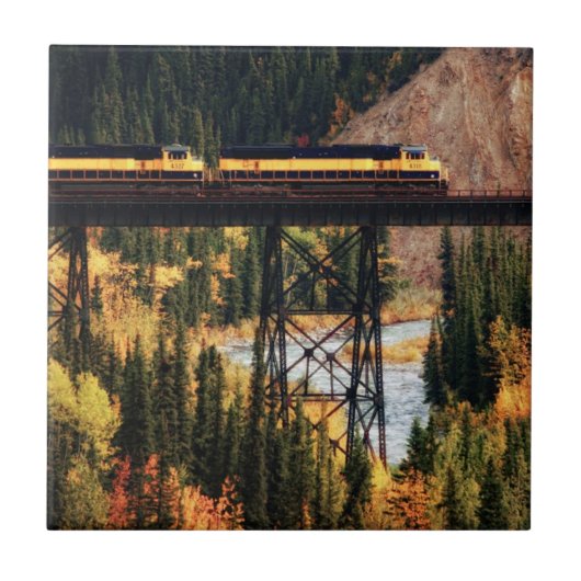 Denali Nationalpark und Konserve USA Alaska Fliese (Vorderseite)