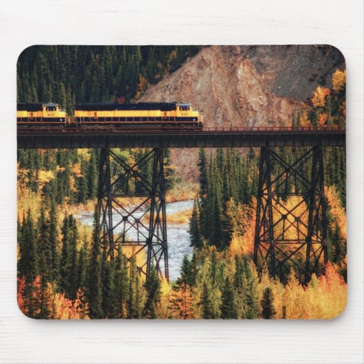 Denali Nationalpark und Konserve USA Alaska Mousepad (Vorne)