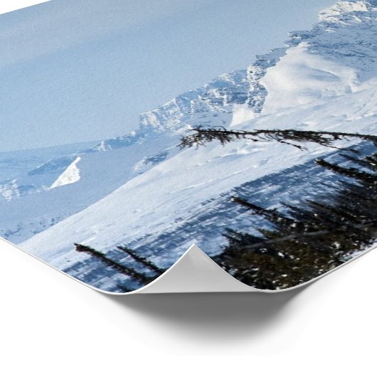 Denali Range Poster (Ecke)