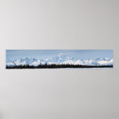 Denali Range Poster (Vorne)
