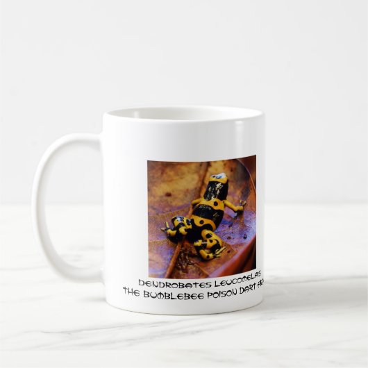 Dendrobates leucomelas kaffeetasse (Links)