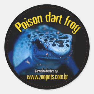dendrobates runder aufkleber