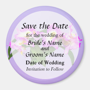 Dendrobium Angel Moon 'Liebe Letter' Magnet