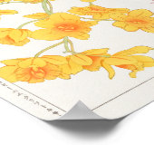 Dendrobium, China aster von Tanigami Konan Poster (Ecke)