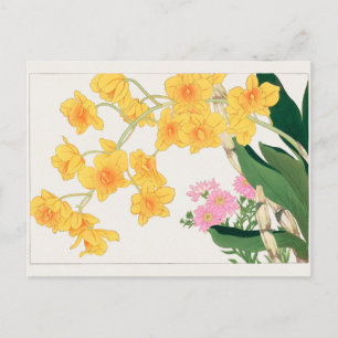 Dendrobium, China aster von Tanigami Konan Postkarte