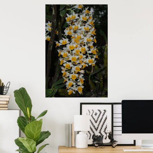 Dendrobium Densiflorum Poster (Heimbüro)