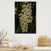 Dendrobium Densiflorum Poster (Küche)
