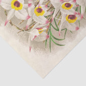 Dendrobium Falconeri (Orchid) von Jean Jules Linde Seidenpapier (Ausschnitt)