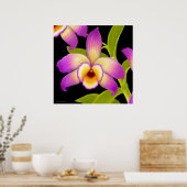 Dendrobium Nobile Orchid Print Poster (Küche)