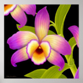 Dendrobium Nobile Orchid Print Poster (Vorne)