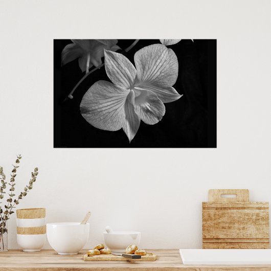 Dendrobium Orchid 2 Poster Print (Küche)