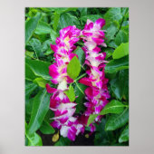 Dendrobium Orchid Lei Poster (Vorne)