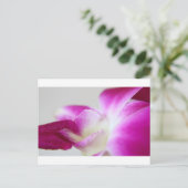 Dendrobium Orchid Postkarte (Stehend Vorderseite)