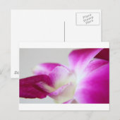 Dendrobium Orchid Postkarte (Vorne/Hinten)