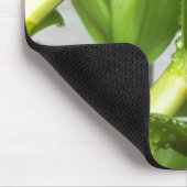 Dendrobium Orchid stems geschlossen Mousepad (Ecke)