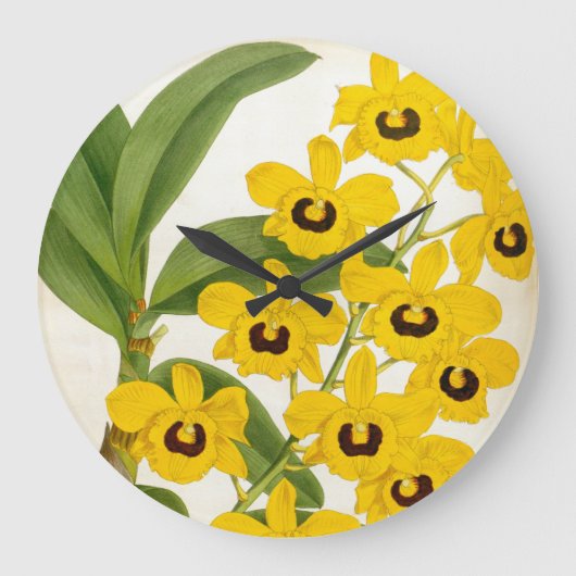 Dendrobrium Suavissimum Vintag Lindenia Orchid Große Wanduhr (Vorderseite)