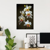 Dendroium-Orchideen Poster (Heimbüro)