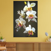Dendroium Orchids Leinwanddruck (Insitu (Wohnzimmer))