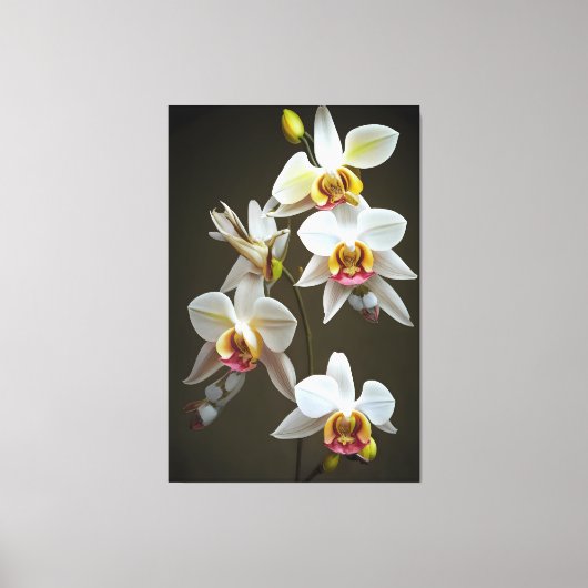 Dendroium Orchids Leinwanddruck (Vorderseite)