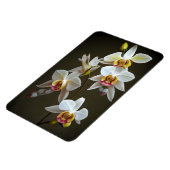 Dendroium Orchids Magnet (Linke Seite)