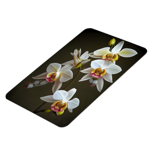 Dendroium Orchids Magnet (Linke Seite)