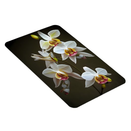 Dendroium Orchids Magnet (Rechte Seite)