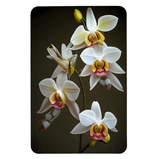Dendroium Orchids Magnet (Vertikal)