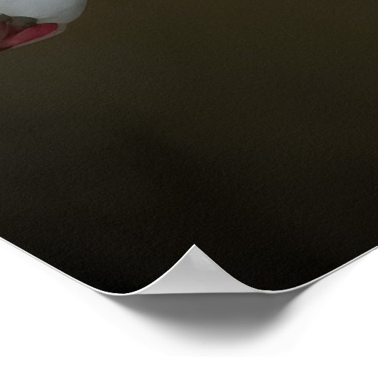 Dendroium Orchids Poster (Ecke)