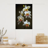 Dendroium Orchids Poster (Küche)
