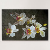 Dendroium Orchids Puzzle (Horizontal)