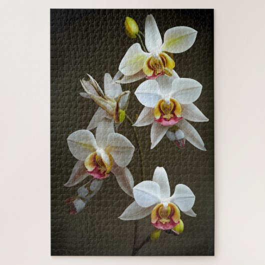 Dendroium Orchids Puzzle (Vertikal)