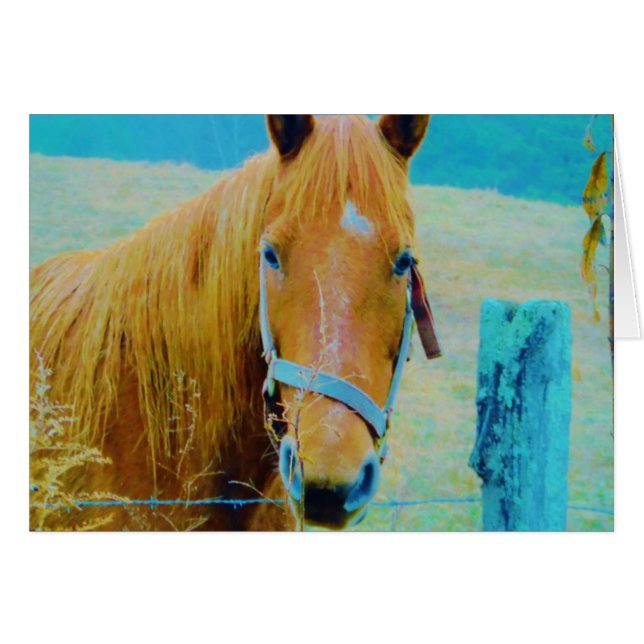 Denim Blue Tinker (Vorderseite (Horizontal))