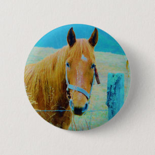 Denim Blue Tinker Button