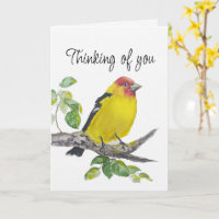 Denk an Dich Aquarell Western Tanager Vogel