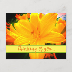 Denk an Dich Gelbe Orange Taglilienblumen Postkarte