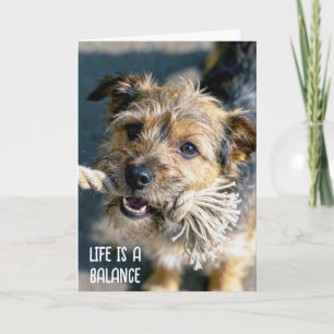 Denk an Dich Hund Tauziehen Karte