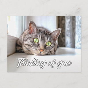 Denk an Dich - Süße Kätzchen Katze Postkarte
