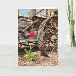Denke an dich, alter Wagen und rote Tulpe Karte