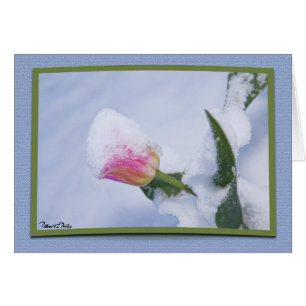 Denke an dich Schneewhite Pink Tulpe Frühling Vorl