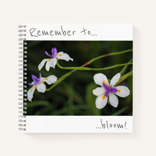 Denke daran zu blühen Wild Iris Blumen Notizbuch (Vorderseite)