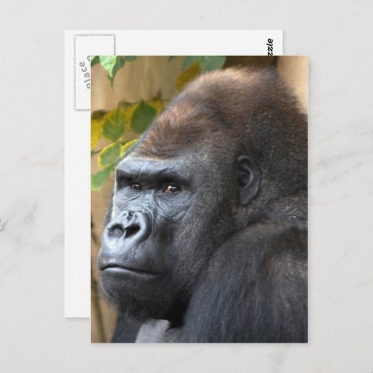 Denke nicht mal daran... postkarte (Vorne/Hinten)