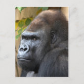 Denke nicht mal daran... postkarte (Vorderseite)