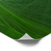 Denke ökologisch Inspiration Poster (Ecke)