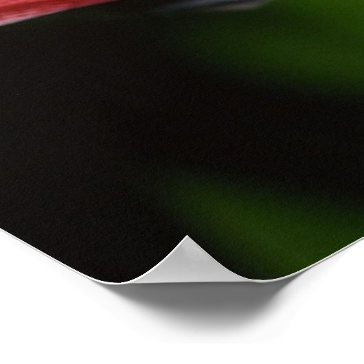 Denke ökologisch poster (Ecke)