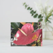 Denke Pink Postkarte (Stehend Vorderseite)