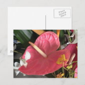 Denke Pink Postkarte (Vorne/Hinten)