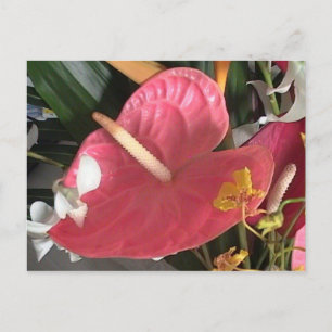 Denke Pink Postkarte