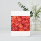 DENKE RASPBERRY! POSTKARTE (Stehend Vorderseite)