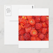 DENKE RASPBERRY! POSTKARTE (Vorne/Hinten)